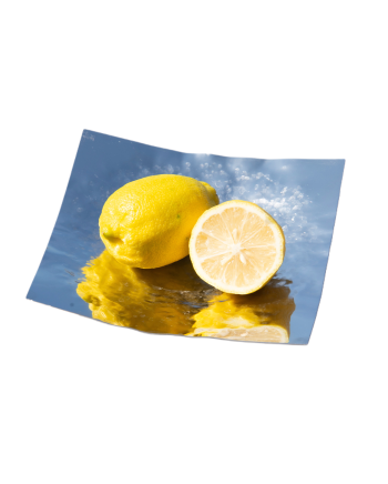 Object: Balance Bowl