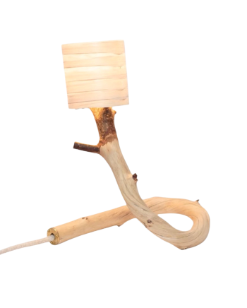 Object: Branchwood No. 10. V3